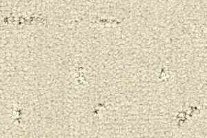 Ковролин Balsan Elite 605 фото  | FLOORDEALER