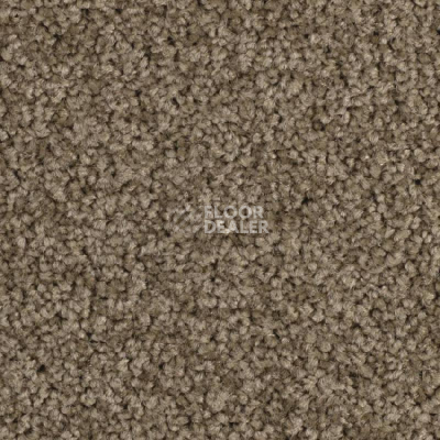 Ковровая плитка Balsan Serenite Sonic Confort 751 фото 1 | FLOORDEALER