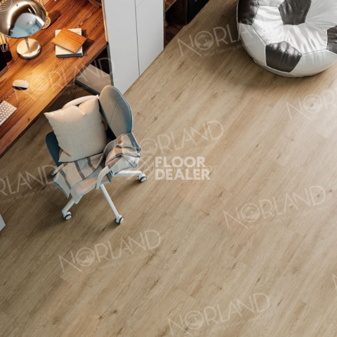 Norland Sigrid  LVT 2мм Abbi 1003-1 фото 4 | FLOORDEALER
