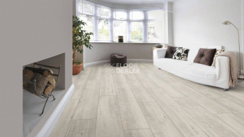 Kronotex Exquisit Plus d4787 Дуб Гала Белый фото 6 | FLOORDEALER