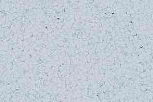 Кварцвиниловые полы Lino Fatra Elektrostatik A 2003 фото  | FLOORDEALER