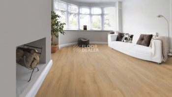 Kronotex Robusto 12мм d4955 Дуб Натуральный Премиум фото 8 | FLOORDEALER