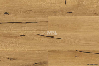 Wood Xl Oak  Accent фото 4 | FLOORDEALER