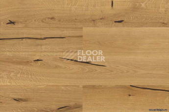 Wood Xl Oak  Accent фото 4 | FLOORDEALER