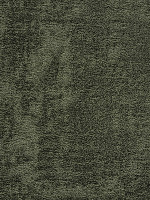 Ковролин Basalt Vintage 590 Moss фото 1 | FLOORDEALER