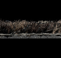 Forbo Coral Brush 5715 Charcoal Grey фото 3 | FLOORDEALER