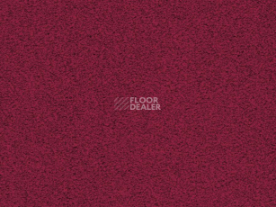 Ковролин Balta ITC Amaize Edison 16 фото 1 | FLOORDEALER