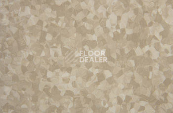 Tarkett iq Melodia 2613 фото 3 | FLOORDEALER