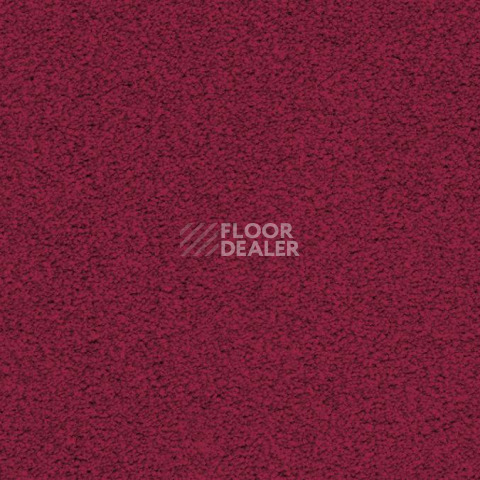 Ковролин Balta ITC Amaize Edison 16 фото 1 | FLOORDEALER