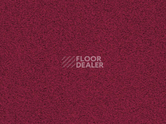 Ковролин Balta ITC Amaize Edison 16 фото 1 | FLOORDEALER