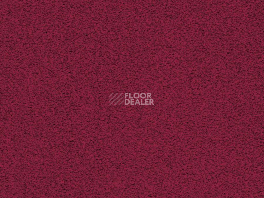 Ковролин Balta ITC Amaize Edison 16 фото 1 | FLOORDEALER