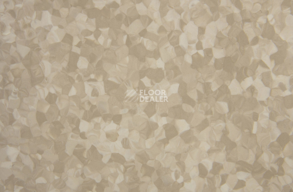 Tarkett iq Melodia 2613 фото 3 | FLOORDEALER