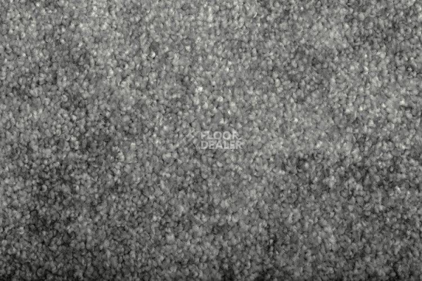 Ковролин AW Natalie AW Natalie 977 фото 1 | FLOORDEALER