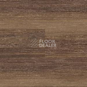 Линолеум Polyflor Expona Wood 6168 фото 1 | FLOORDEALER