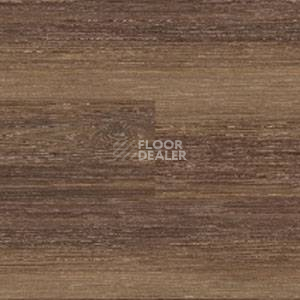 Линолеум Polyflor Expona Wood 6168 фото 1 | FLOORDEALER