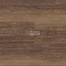 Линолеум Polyflor Expona Wood 6168 фото 1 | FLOORDEALER