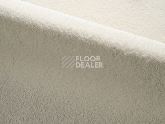Ковролин Radici Dolce Vita 1302 фото 1 | FLOORDEALER