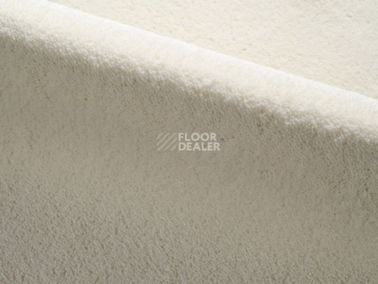 Ковролин Radici Dolce Vita 1302 фото 1 | FLOORDEALER