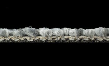 Desso Desert 9505 фото 4 | FLOORDEALER