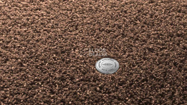 Ковролин Vorwerk Superior 1041 Vorwerk 8j8945 фото 1 | FLOORDEALER