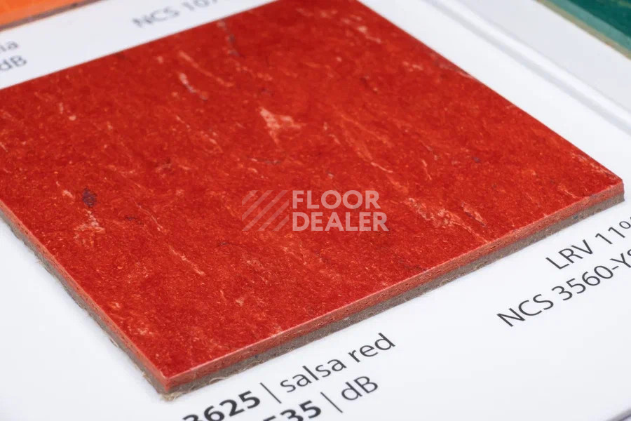 Линолеум Marmoleum Solid Piano 3625-362535 salsa red фото 2 | FLOORDEALER
