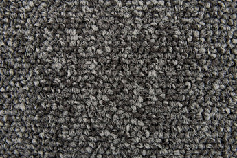 Ковровая плитка Standard Carpets Spectrum sm 577 фото 1 | FLOORDEALER