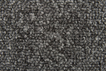 Ковровая плитка Standard Carpets Spectrum sm 577 фото 1 | FLOORDEALER