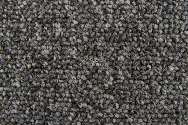 Ковровая плитка Standard Carpets Spectrum sm 577 фото 1 | FLOORDEALER