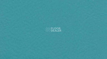 Линолеум Taraflex Performance Uni 6431_Teal фото 1 | FLOORDEALER