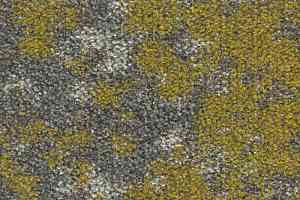 Ковровая плитка Create Large Create Large 207 Dijon c фото  | FLOORDEALER