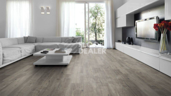 Kronotex Exquisit 8мм d4786 Дуб Гала Серый фото 2 | FLOORDEALER
