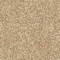 Balsan First Class 630 фото 1 | FLOORDEALER