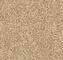 Ковролин Balsan First Class 630 фото 1 | FLOORDEALER