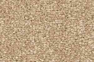 Ковролин Balsan First Class 630 фото  | FLOORDEALER