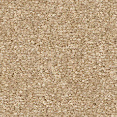 Ковролин Balsan First Class 630 фото 1 | FLOORDEALER