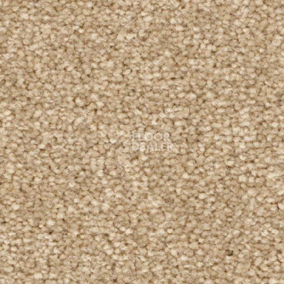 Ковролин Balsan First Class 630 фото 1 | FLOORDEALER