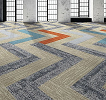 Balsan Vision Canopy to Bark