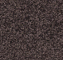 Ковролин Balsan Ultrasoft 790 фото 1 | FLOORDEALER