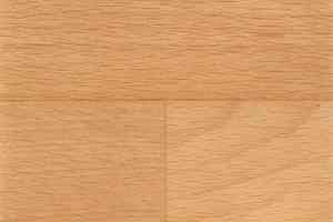 Линолеум Tarkett Acczent Timber BEECH 1 (300002) фото  | FLOORDEALER