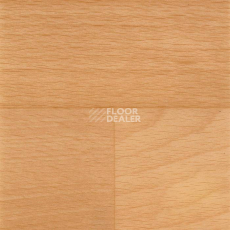 Линолеум Tarkett Acczent Timber BEECH 1 (300002) фото 1 | FLOORDEALER