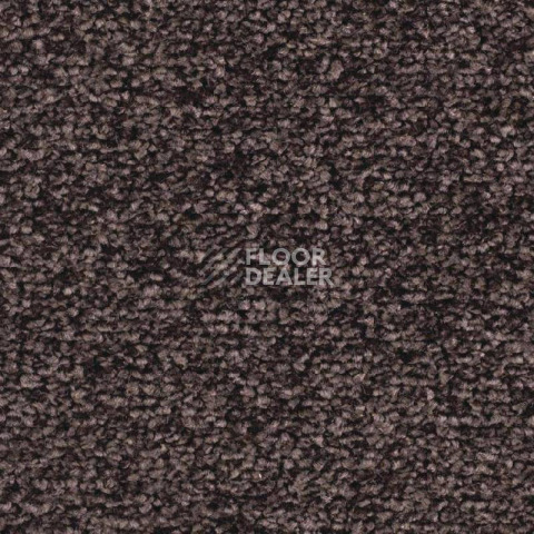 Ковролин Balsan Ultrasoft 790 фото 1 | FLOORDEALER