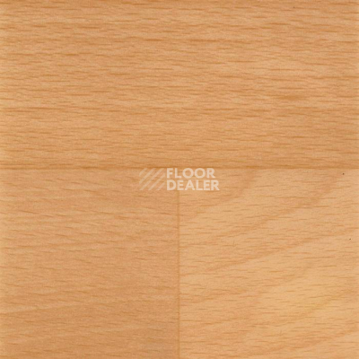 Линолеум Tarkett Acczent Timber BEECH 1 (300002) фото 1 | FLOORDEALER