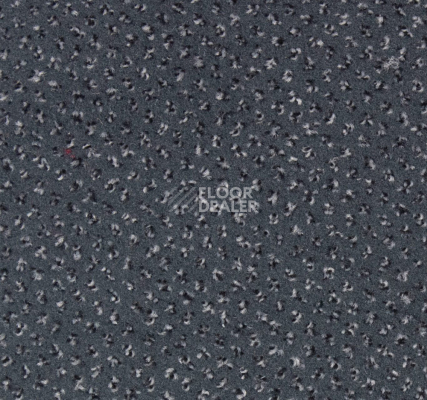 Ковролин Betap Pluto 74 фото 1 | FLOORDEALER