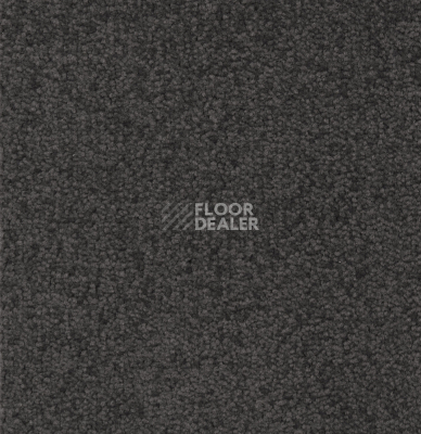 Ковролин Betap Transmit 980 фото 1 | FLOORDEALER