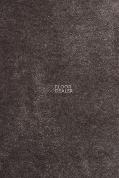 Ковролин Betap Pusan 74 фото 1 | FLOORDEALER