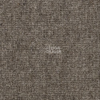 Ковролин Creatuft Dublin 907 Birch фото 1 | FLOORDEALER