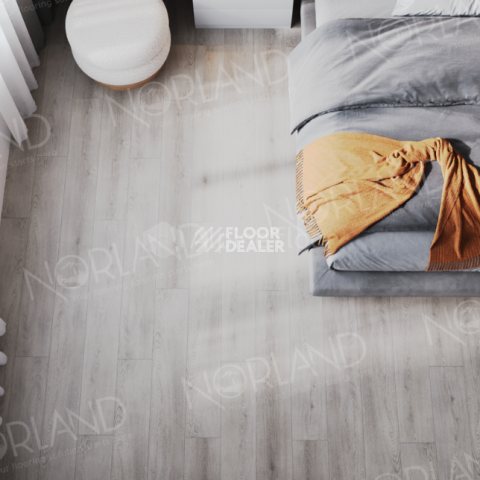 Norland Sigrid Superior 8мм Alante 1008-5 ABA фото 3 | FLOORDEALER