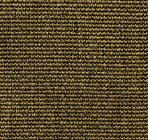 Ковролин Carpet Concept Eco Iqu 60240 фото 1 | FLOORDEALER