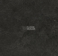 Линолеум Forbo Marmoleum Decibel 370735 фото 1 | FLOORDEALER