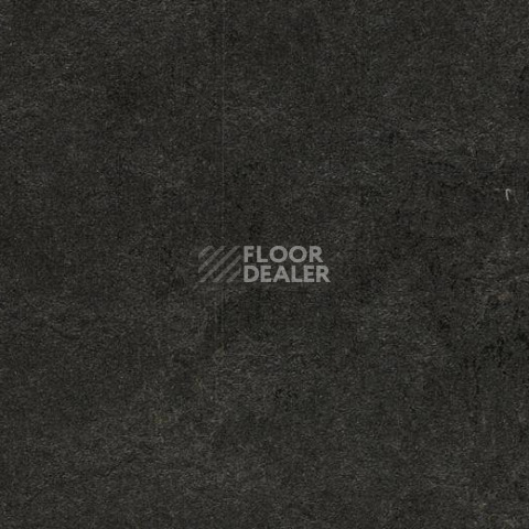 Линолеум Forbo Marmoleum Decibel 370735 фото 1 | FLOORDEALER
